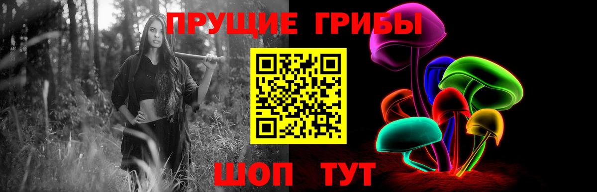 Псилоцибиновые грибы мухоморы Камень-на-Оби