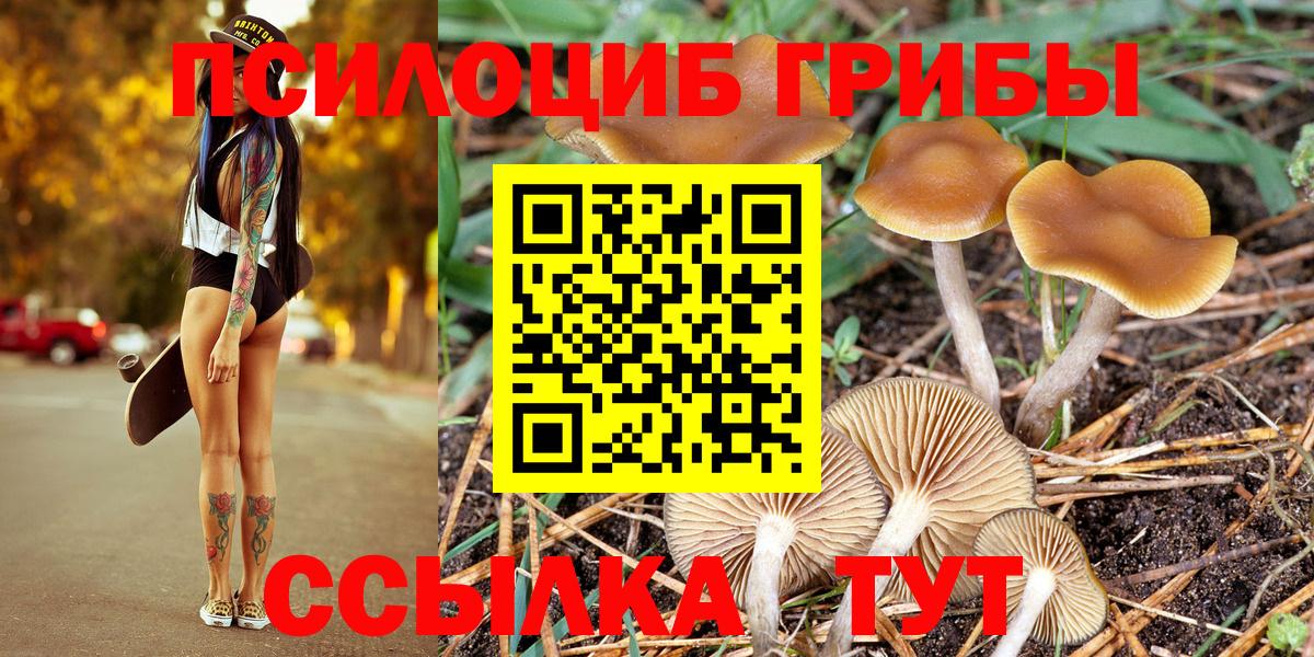 Камень-на-Оби  хочу наркоту  Вход с VPN  Галлюциногенные грибы MAGIC MUSHROOMS  Псилоцибиновые грибы ЛСД 